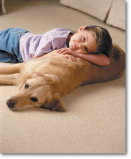 Upholsery and Animal Carpet Cleaning Company in New Berlin
