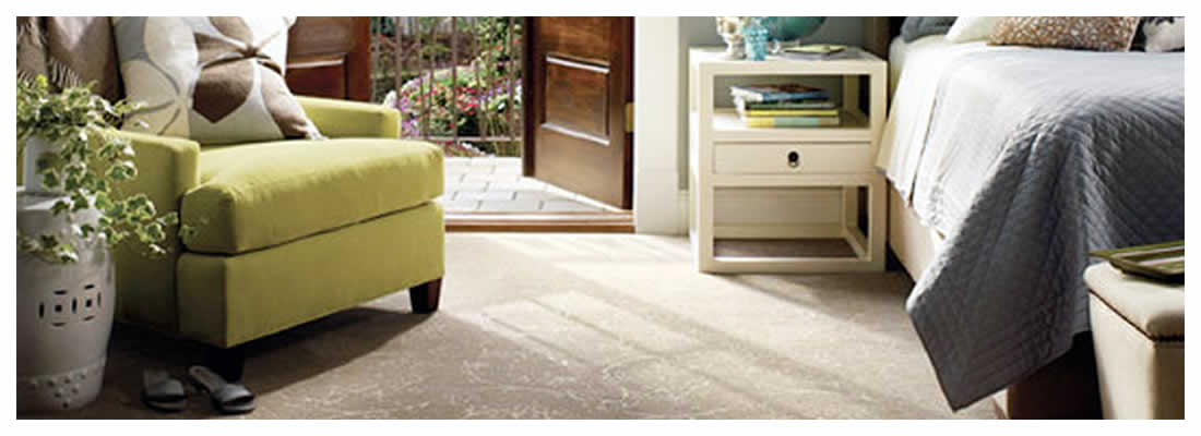 About Preferred Carpet Cleaner Company near me
